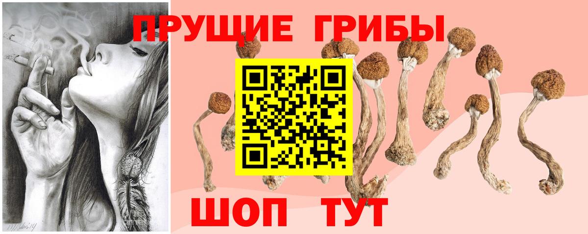 Псилоцибиновые грибы мухоморы  Вход с VPN  Псилоцибиновые грибы MAGIC MUSHROOMS  Нарткала 