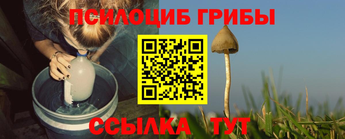 Псилоцибиновые грибы прущие грибы Нарткала